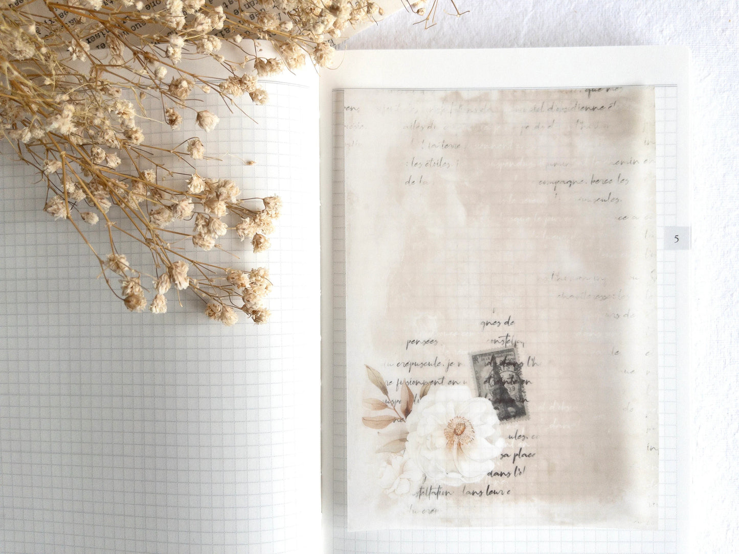 Vellum paper: White blooms collection