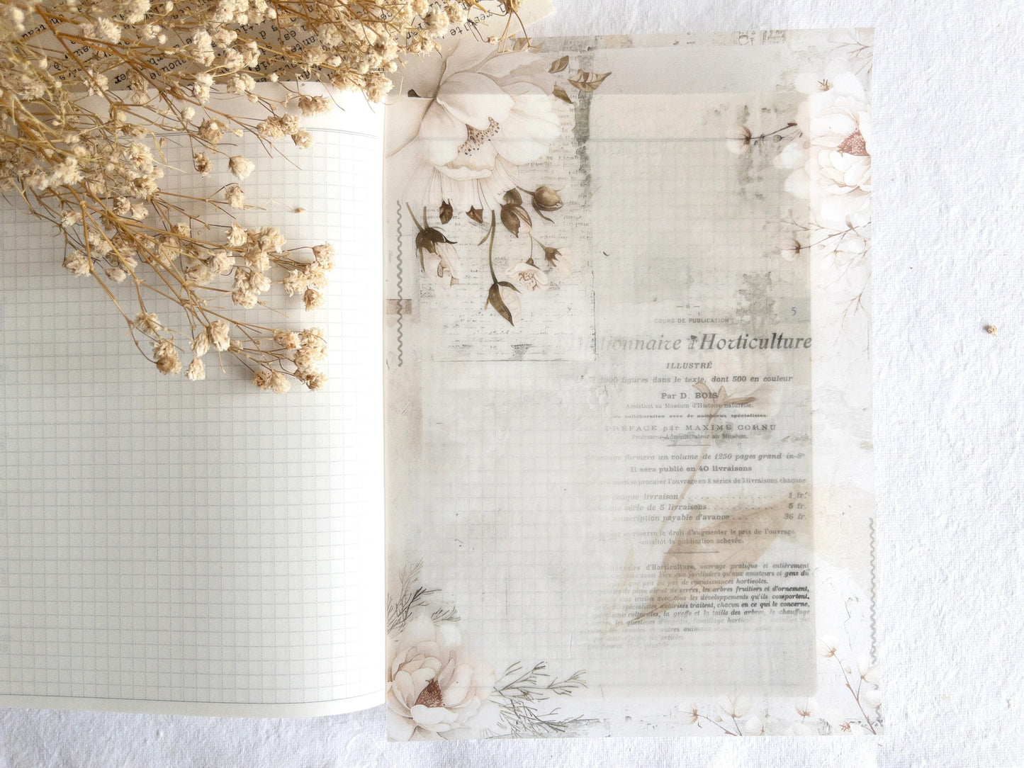 Vellum paper: White blooms collection