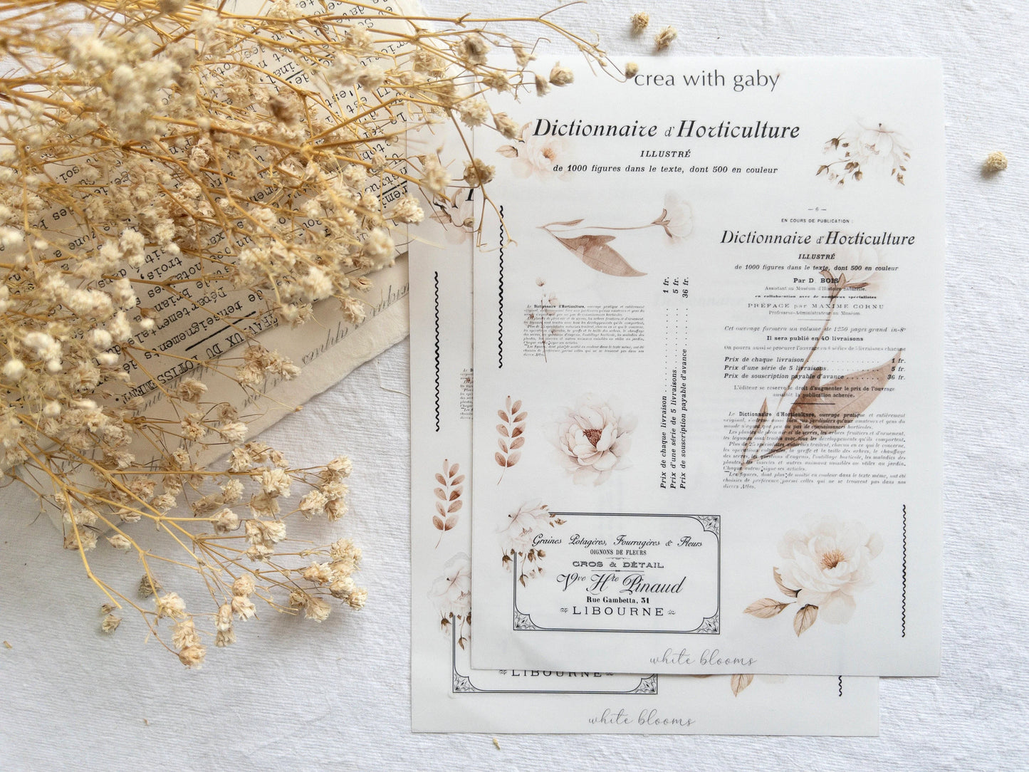 Vintage floral stickers: White blooms collection (001)