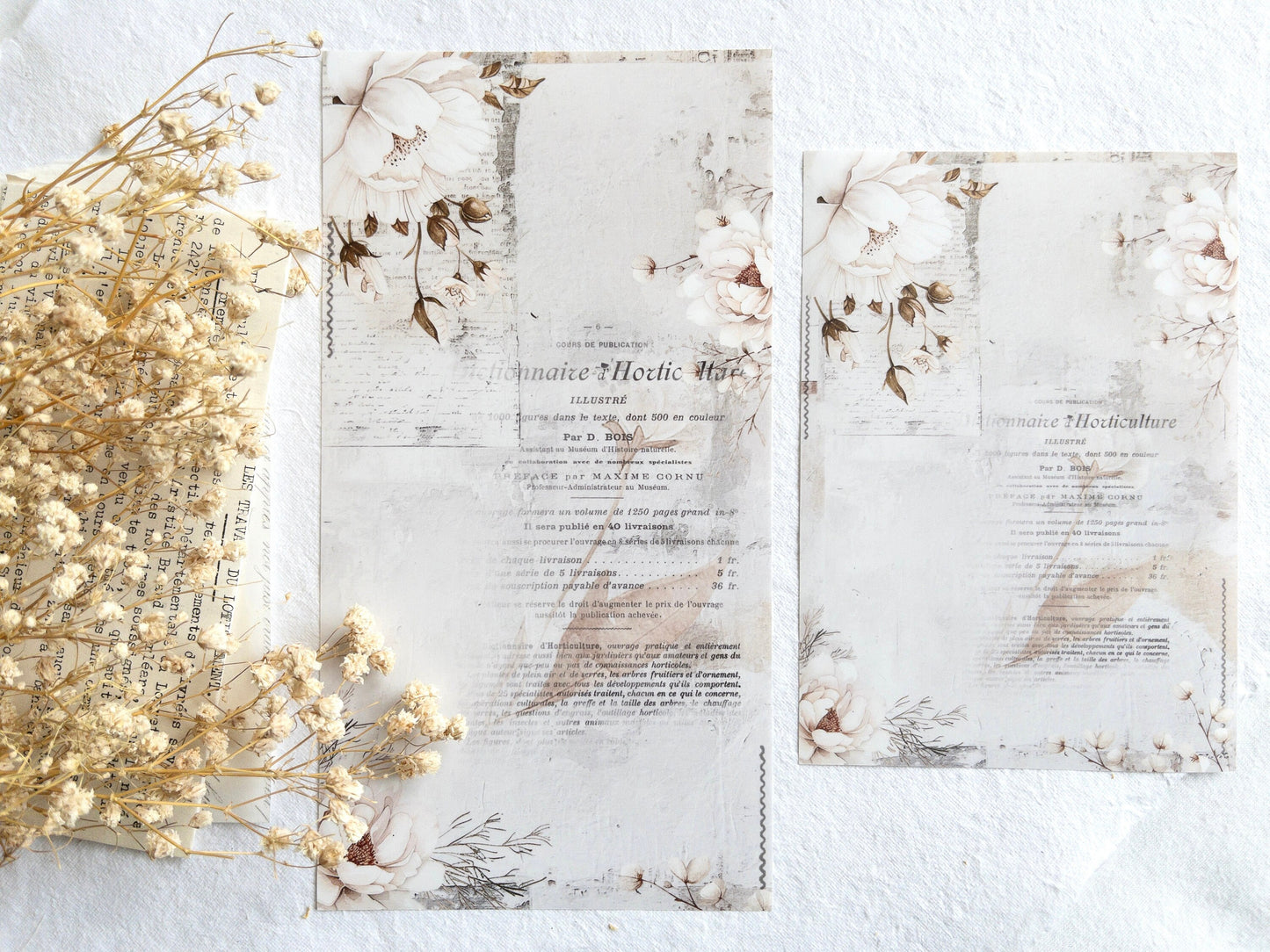 Sticker dashboard: White blooms collection