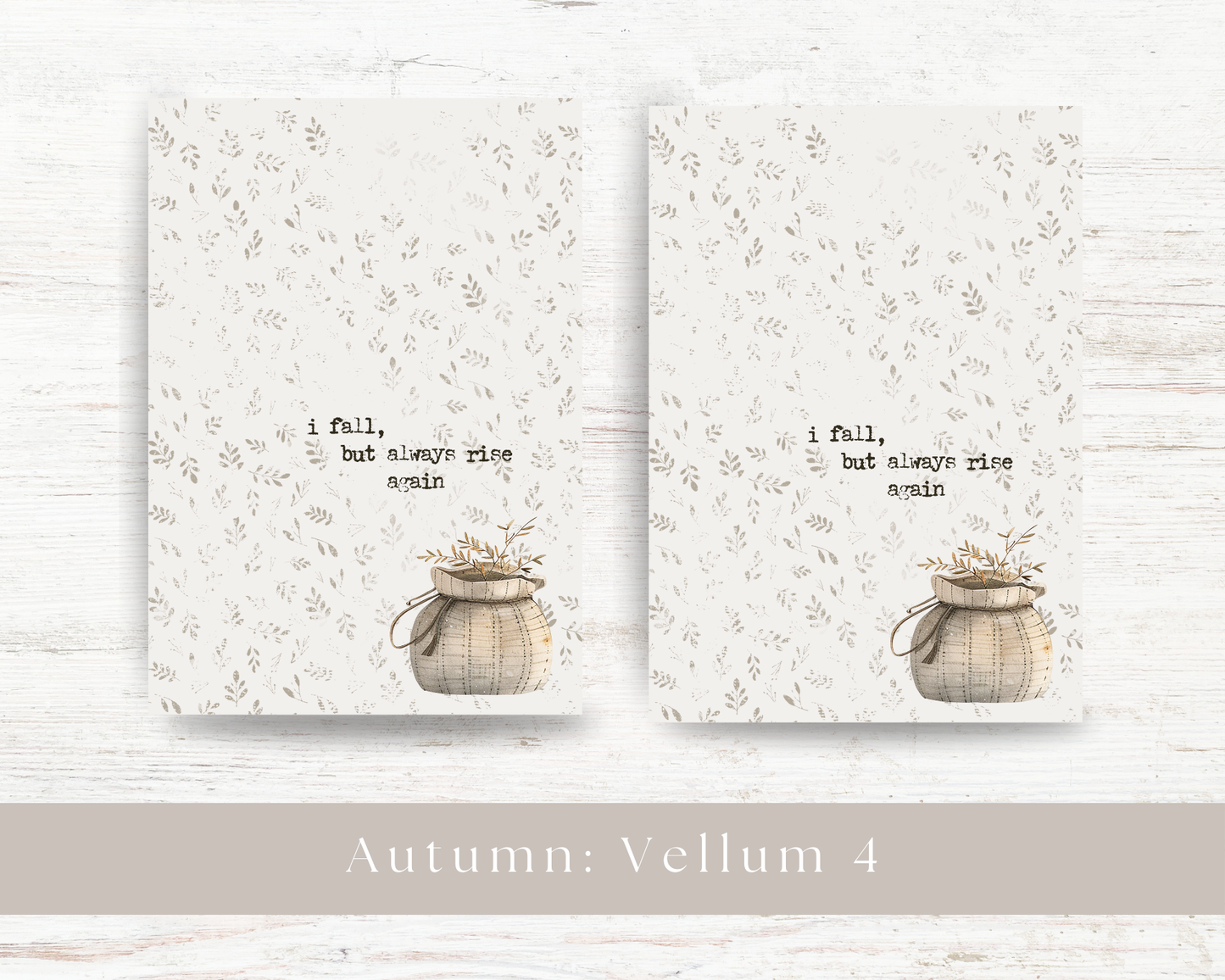 A5 dashboard: Autumn 2024 collection IV