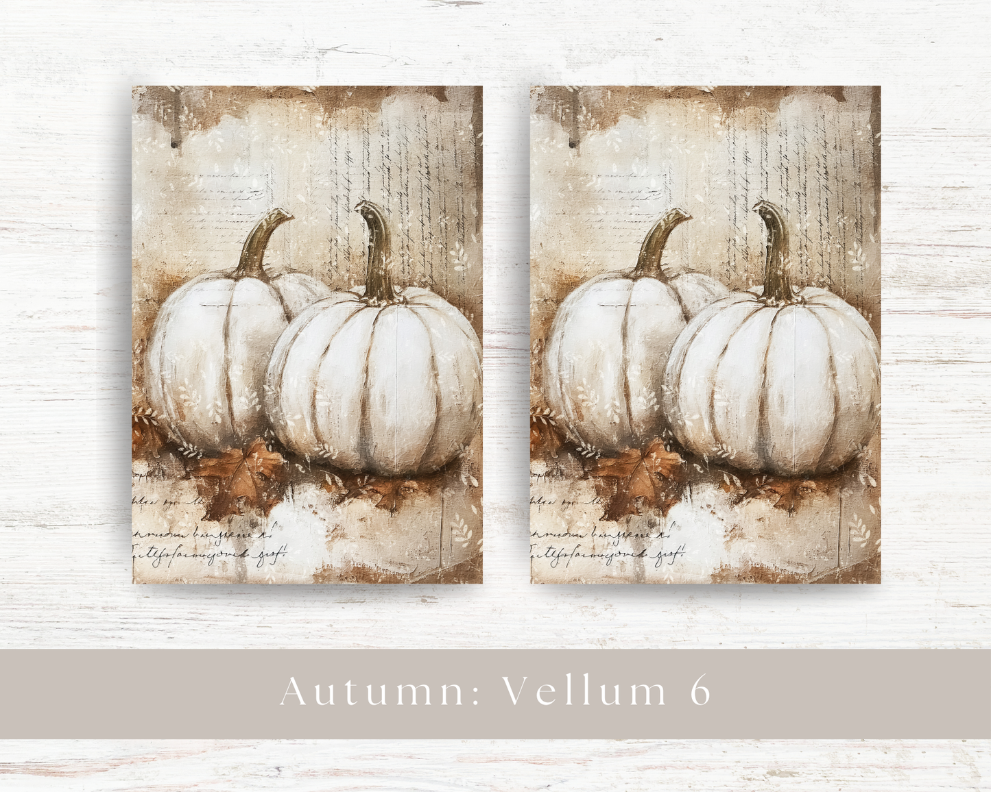 A5 dashboard: Autumn 2024 collection VI