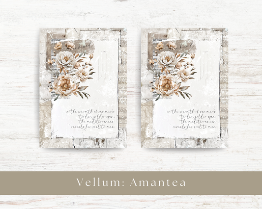 Vellum paper: Amantea collection V