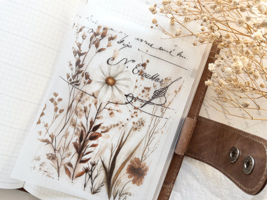 Vellum & sticker dashboards: Timeless collection