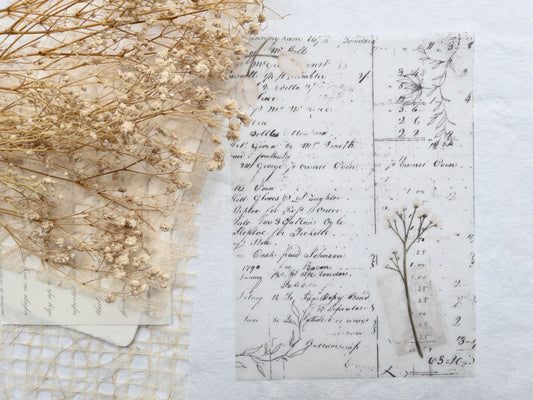 Vellum paper: Magic collection