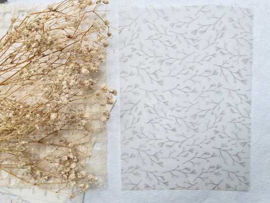 Vellum bundle: Magic collection (Set of 5)
