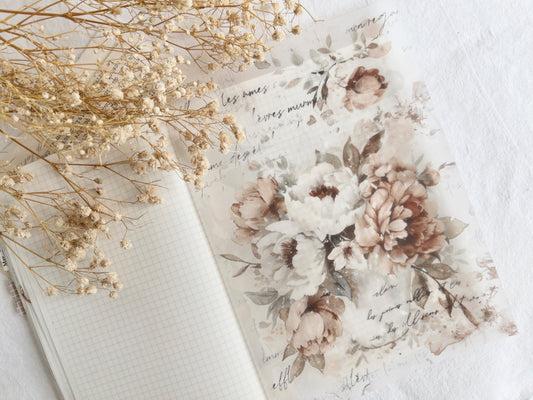 Vellum bundle: Amantea collection