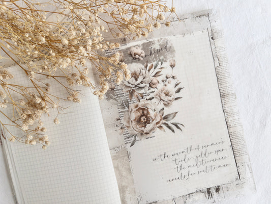 Vellum paper: Amantea collection V