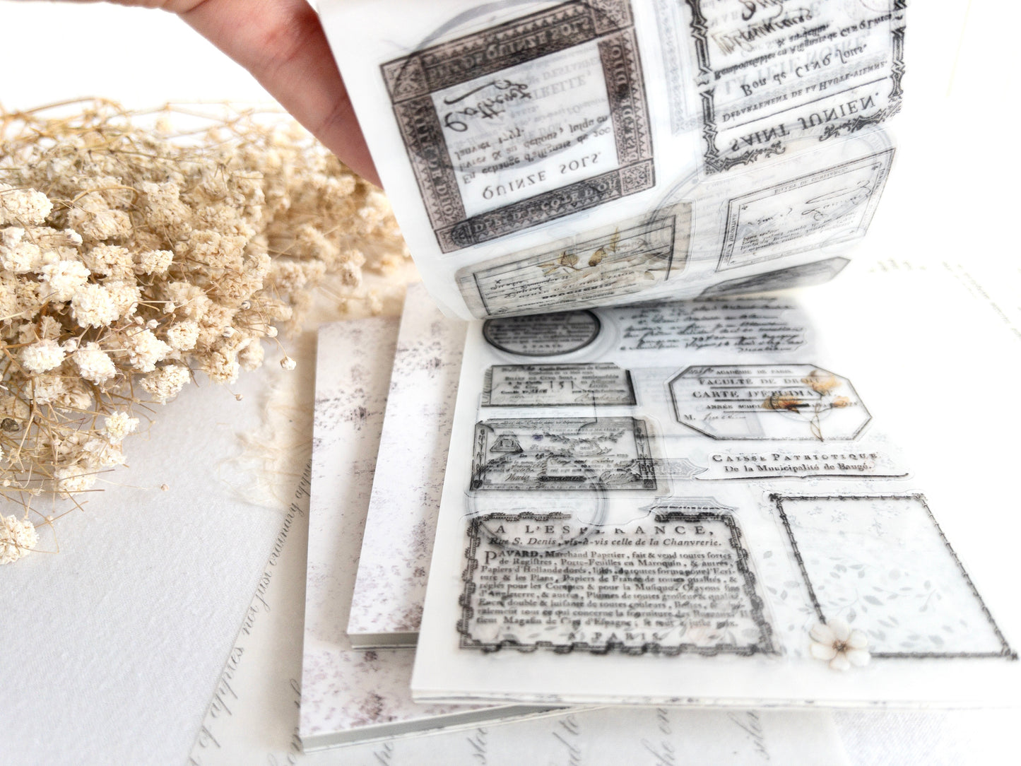 II Anniversary Bundle (Save!)