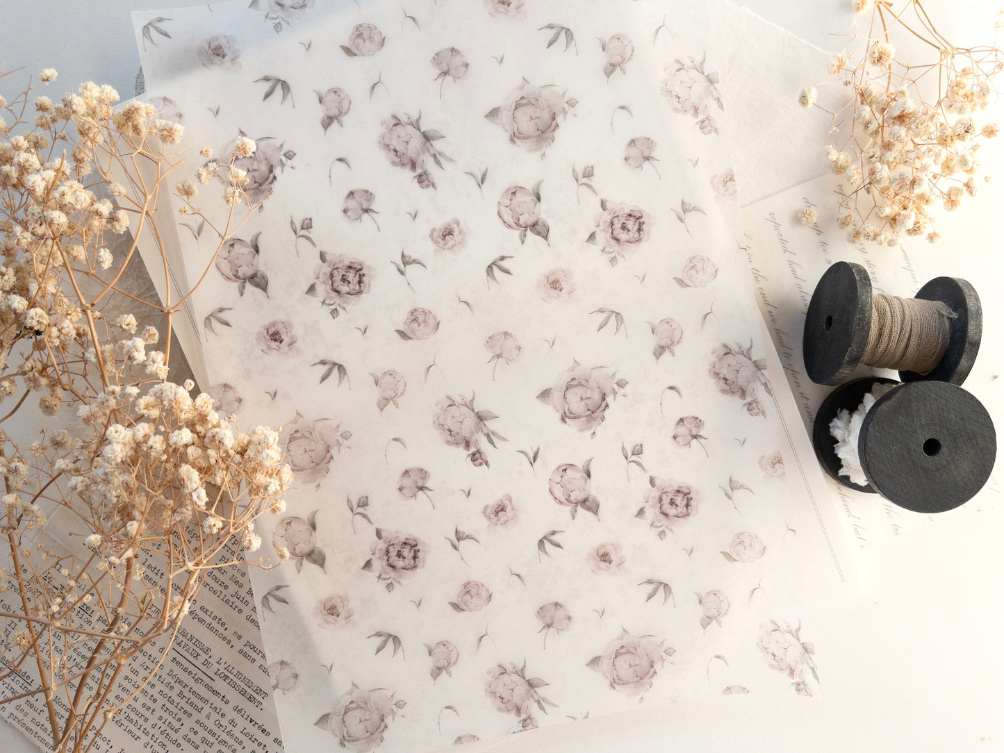 A4 Vellum: The blooming archive II (shipped folded in half)