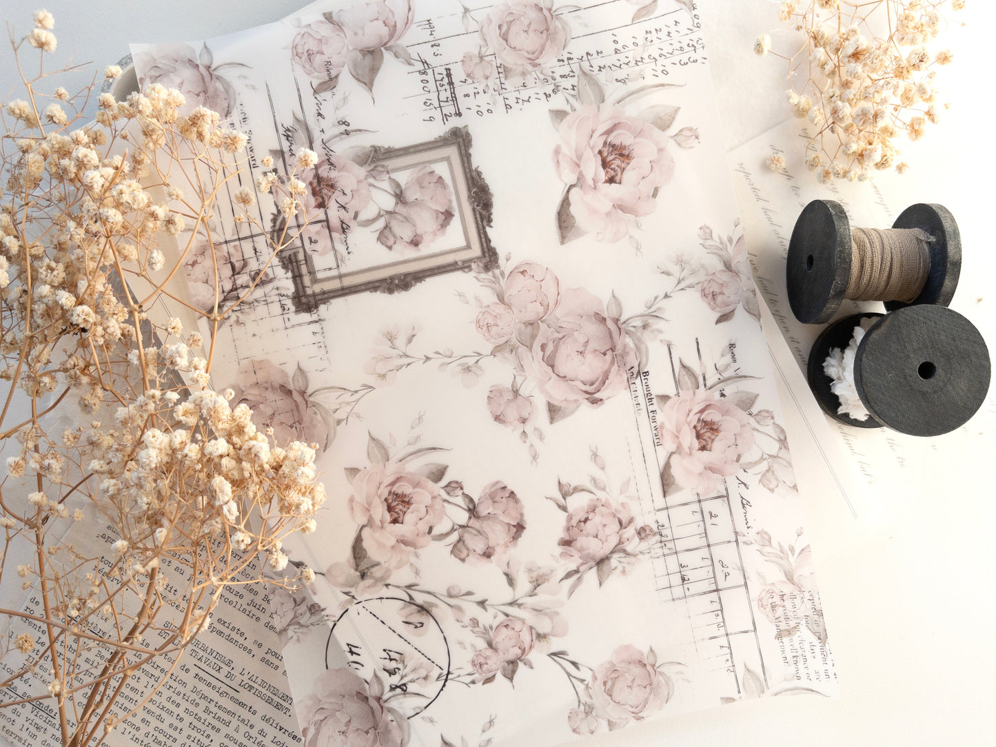 A4 Vellum: The blooming archive (shipped folded in half)