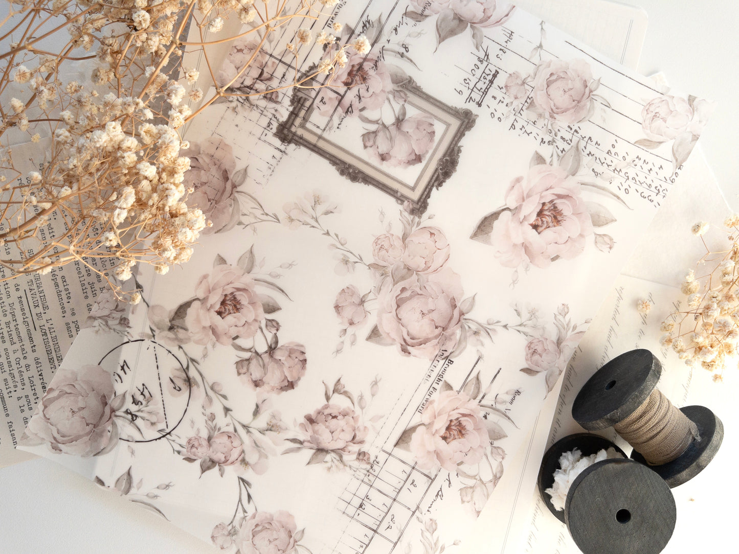 A4 Vellum: The blooming archive (shipped folded in half)