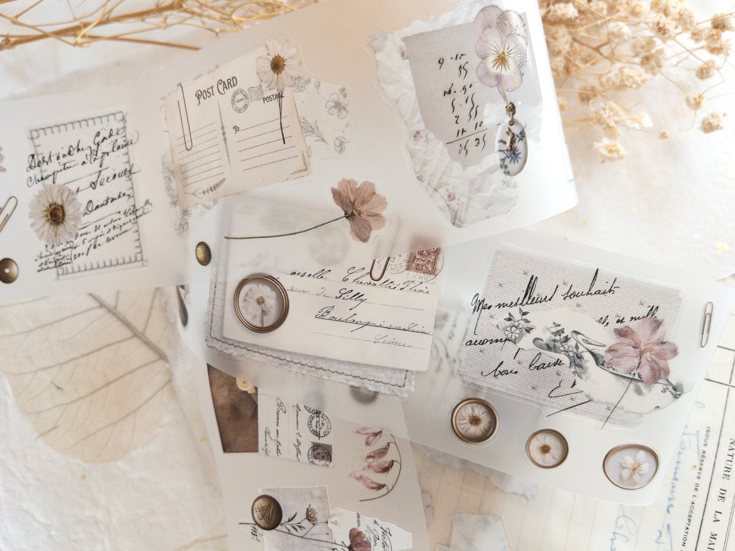 Pre-cut PET tape: Archive of soft things