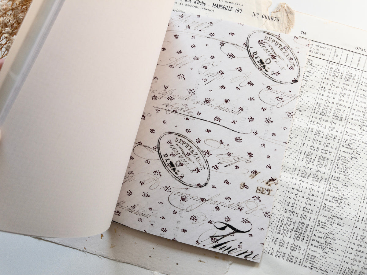 Autumn sticker book: Bonjour l'automne