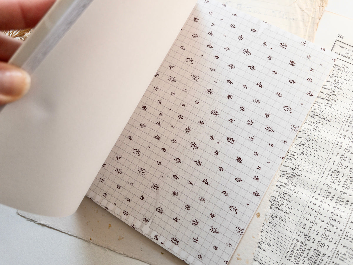 Autumn sticker book: Bonjour l'automne