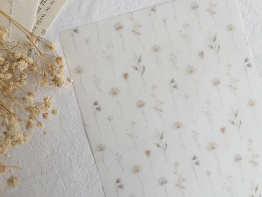 Vellum paper: Memories