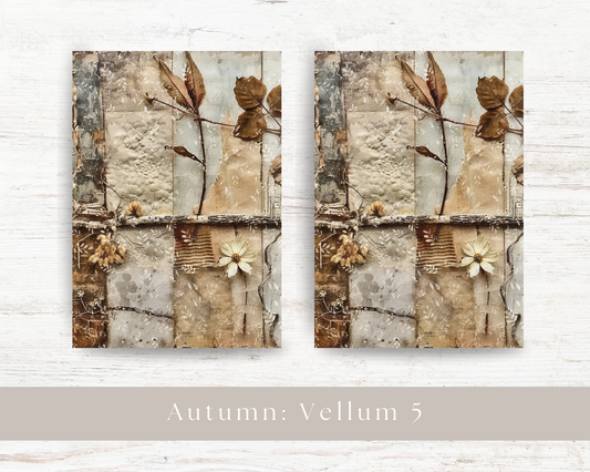 A5 dashboard: Autumn 2024 collection V