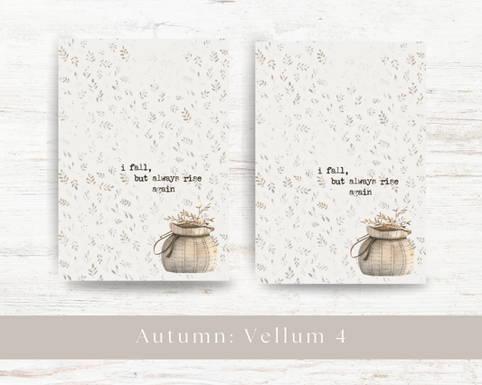 A5 dashboard: Autumn 2024 collection IV